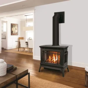 Enviro FS Berkley Cast Iron Gas Stove